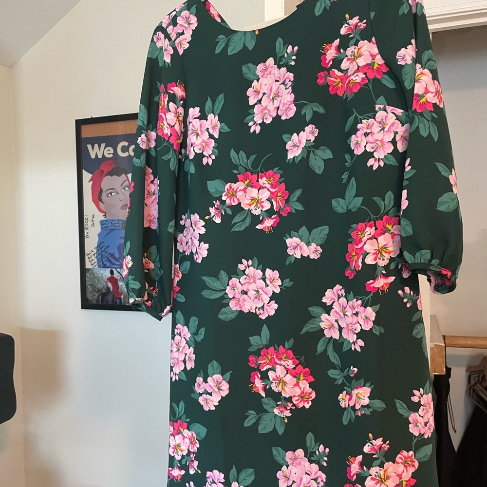 Ann Taylor Green Floral Long Sleeve Dress